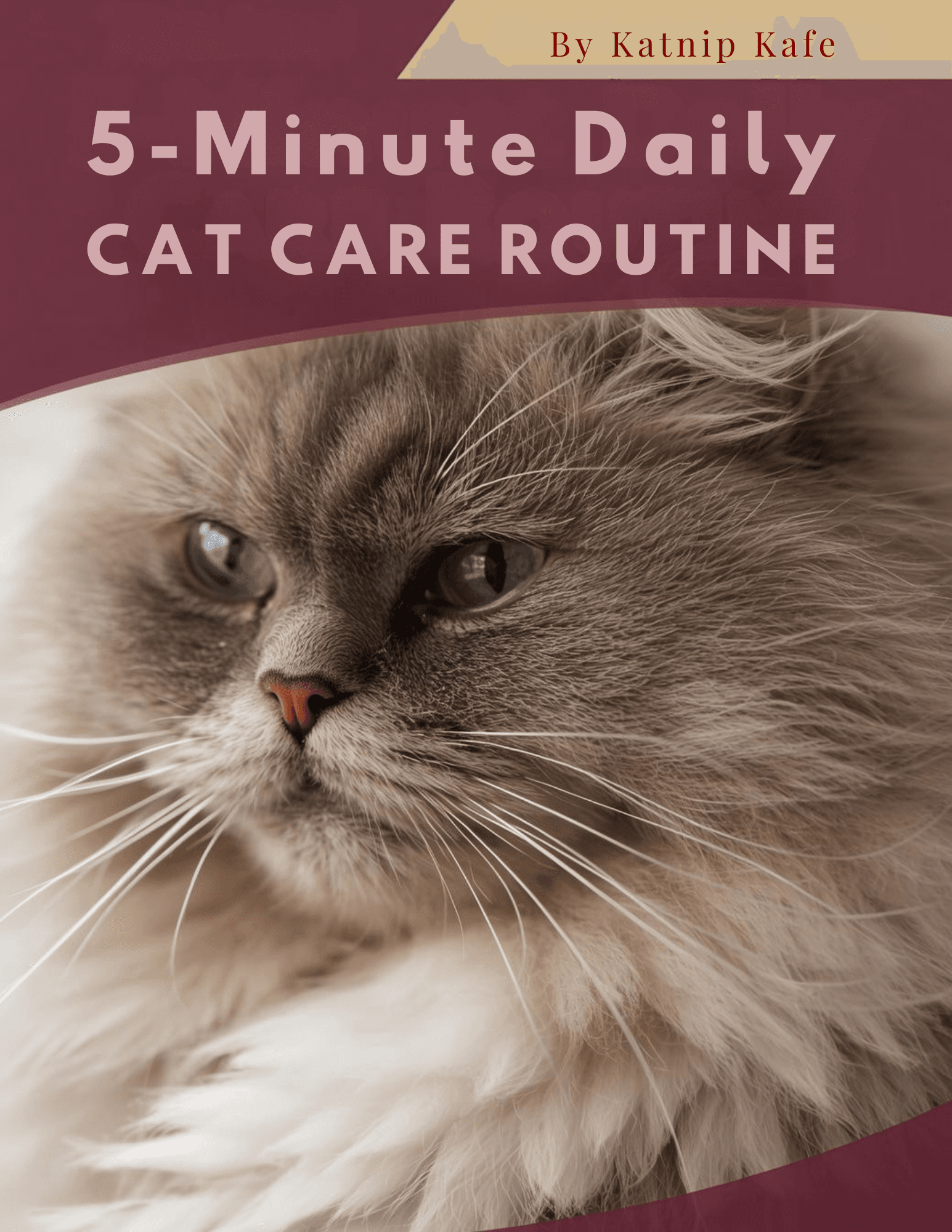 5 MINUTE DAILY CAT CARE ROUTINE