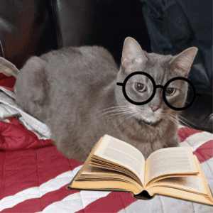 The Purr-fessor (totally not Money Mula)