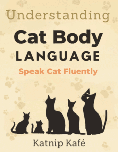 Understanding Cat Body Language: Speak Cat Fluently